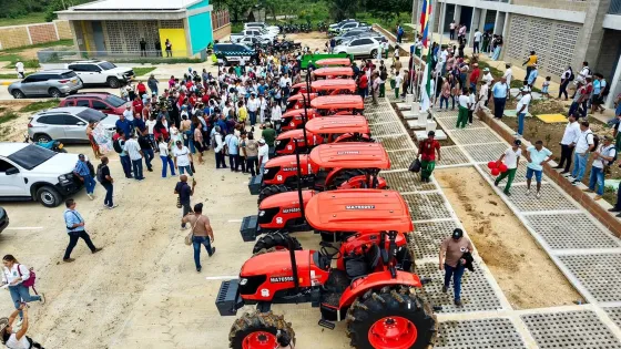 Yuca industrial busca crecer en Sucre con inversión de $10.295 millones