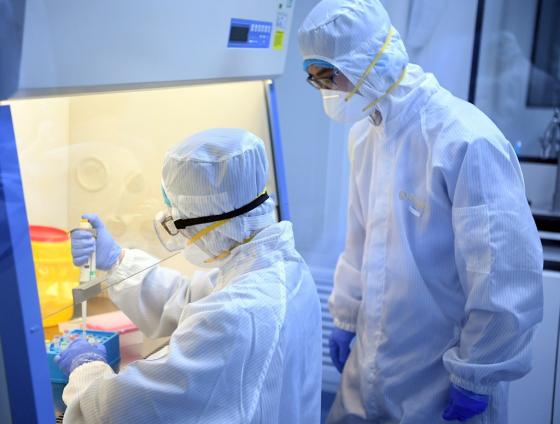 Científicos australianos cultivan una cepa del coronavirus