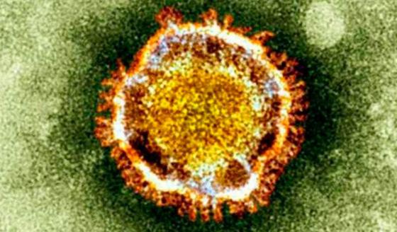 OMS no declaró emergencia por coronavirus