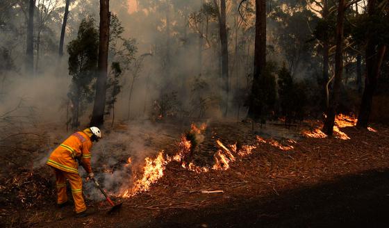 La sudadera que donará dinero a los incendios en Australia