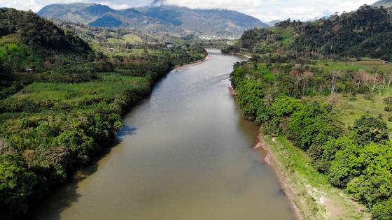 Países presentaron plan para proteger la Amazonía Países presentaron plan para proteger la Amazonía
