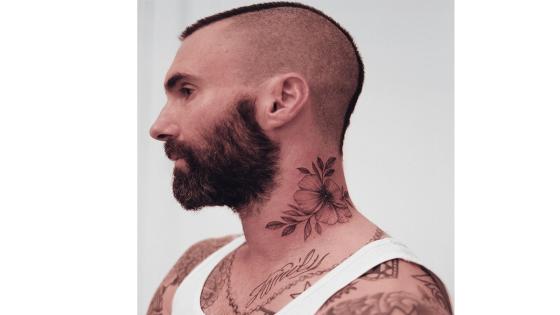 Además de sus giras musicales ha sido jurado en el programa 'The Voice' en Estados Unidos. Además de sus giras musicales ha sido jurado en el programa 'The Voice' en Estados Unidos.