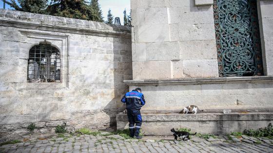 Las cuadrillas de la dirección de servicios de salud de la municipalidad de Fatih dejan comida para animales callejeros, que tienen problemas para encontrar comida después de que los restaurantes, talleres de cocina, etc. cerraron debido a la pandemia de coronavirus. Foto: Emrah Yorulmaz/ Anadolu Las cuadrillas de la dirección de servicios de salud de la municipalidad de Fatih dejan comida para animales callejeros, que tienen problemas para encontrar comida después de que los restaurantes, talleres de cocina, etc. cerraron debido a la pandemia de coronavirus. Foto: Emrah Yorulmaz/ Anadolu