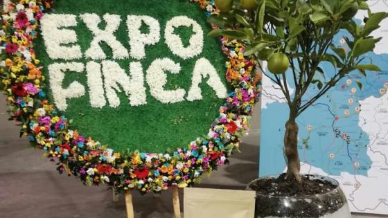 Cultiagua Cultiagua
