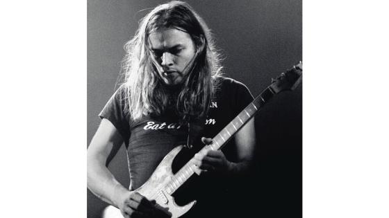 Además de desempeñarse como músico, David es piloto de aviones, una pasión que le llevó a crear un museo llamado Intrepid Aviation.