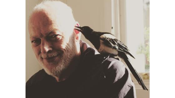 Aunque su vida artística la debe a Pink Floyd, el músico también ha incursionado como solista y ha presentado al mundo 4 álbumes de estudio.