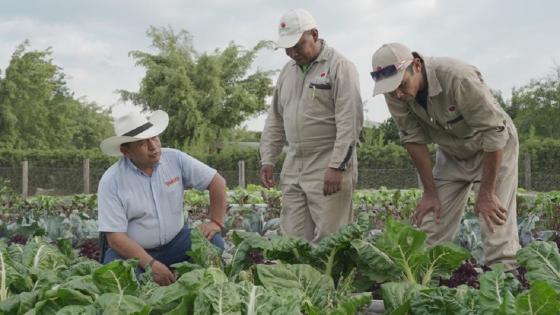 Excombatientes Farc