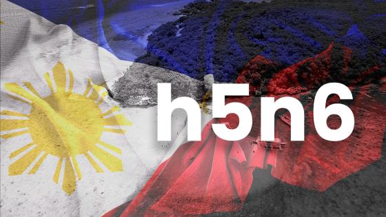 Gripe aviar en Filipinas