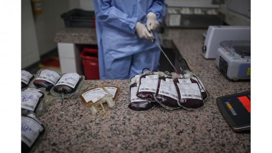 Los centros de sangre en todo el país sufren de una caída significativa en las donaciones en medio de la emergencia de salud en todo el territorio nacional.  Fotos: Juancho Torres - Anadolu