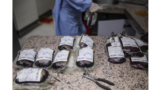 Los centros de sangre en todo el país sufren de una caída significativa en las donaciones en medio de la emergencia de salud en todo el territorio nacional.  Fotos: Juancho Torres - Anadolu
