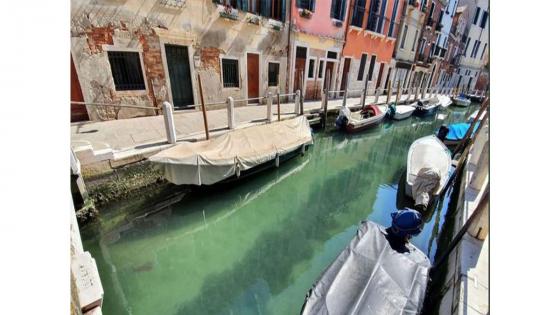 Los canales de Venecia han mostrado una gran mejoría debido a la ausencia de turistas.