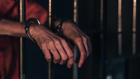 Cárcel para hombre que habría atacado a dos personas con perros "peligrosos"