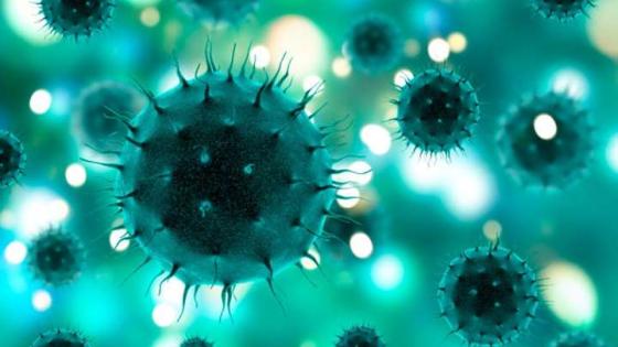 coronavirus