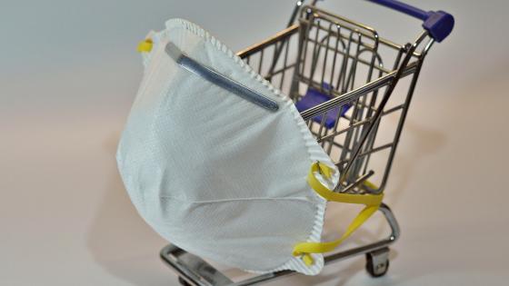 Imagen de referencia