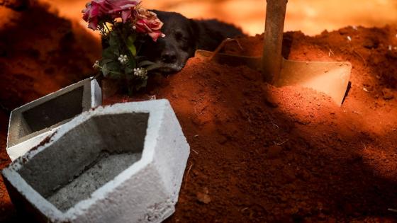 Así es el día a día de los sepultureros del cementerio brasileño de Vila Formosa, el mayor de Latinoamérica, en plena pandemia de coronavirus: "Es un cuerpo detrás de otro, no paramos".  Foto:  Fernando Bizerra - EFE