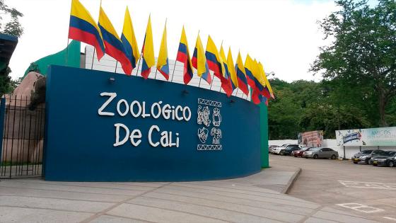 Zoológico de Cali