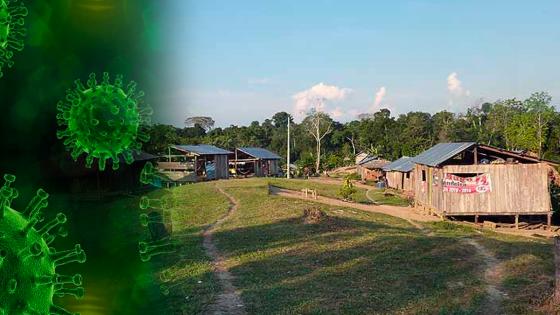 Amazonas coronavirus