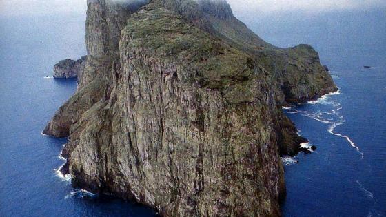 malpelo malpelo
