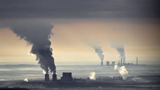 Greenpeace Greenpeace