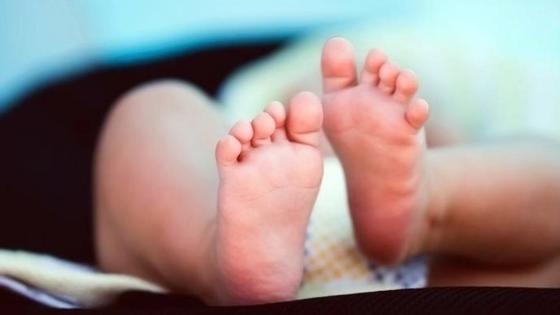 proyecto orden de los apellidos de los padres proyecto orden de los apellidos de los padres