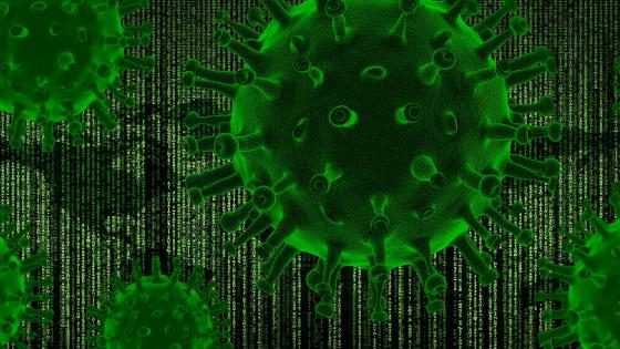 coronavirus coronavirus