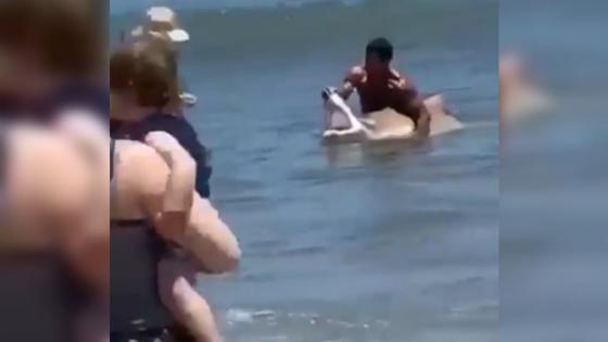 tiburon tiburon