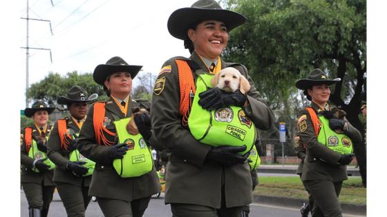 Fuerzas Militares.