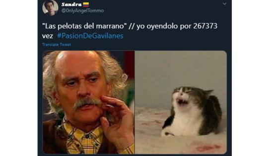 Meme de Pasión de Gavilanes. Meme de Pasión de Gavilanes.