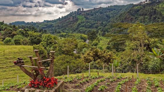 Salento-Quindio-Colombia
