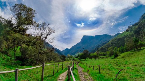 Valle-de-Cocora-Salento-Colombia