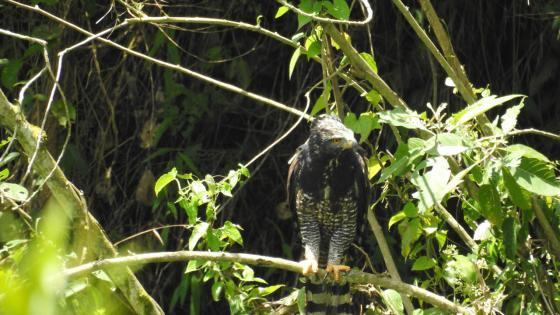 Secretaría de Ambiente de Medellín 