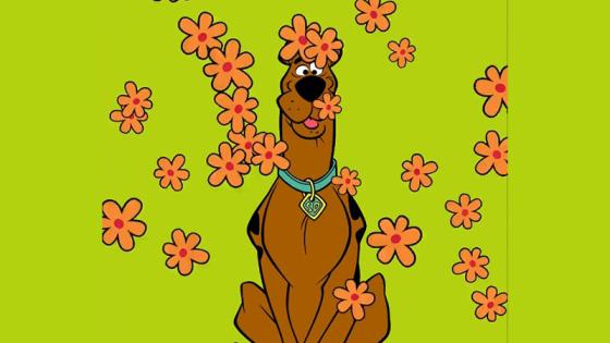 Scooby Doo Scooby Doo