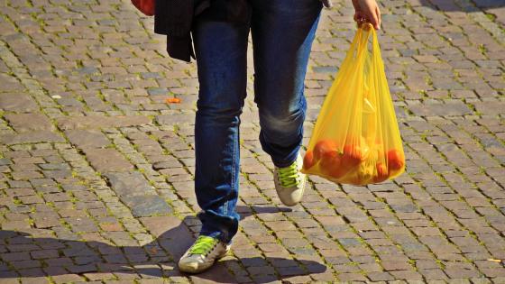 Día Internacional Libre de Bolsas de Plástico Día Internacional Libre de Bolsas de Plástico