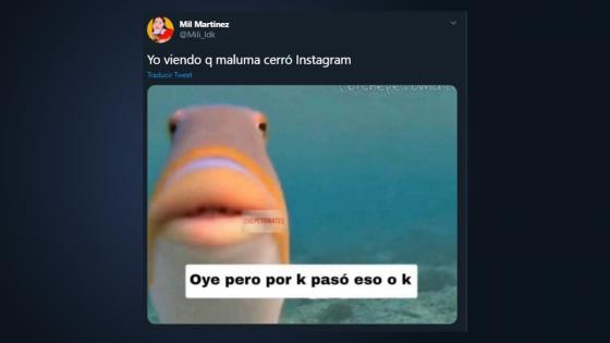 Memes de Maluma.