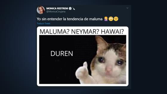 Memes de Maluma.