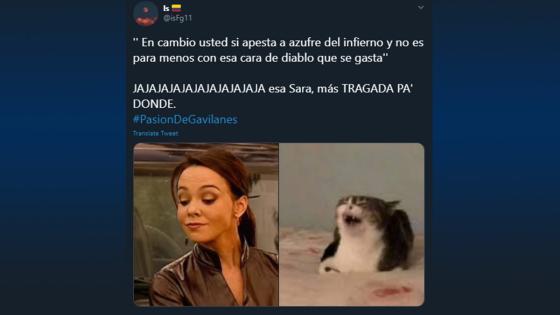 Meme Pasión de Gavilanes.