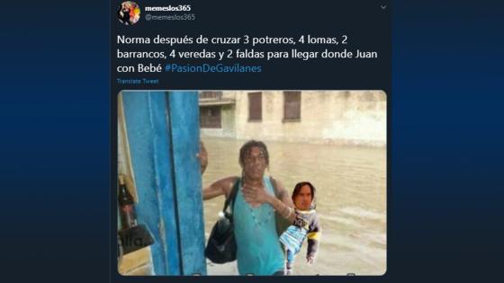 Meme Pasión de Gavilanes.