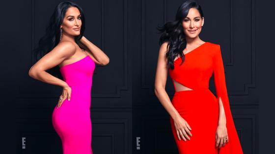 nikki y brie bella en total bellas