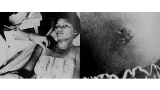 Brasil 1977 Brasil 1977