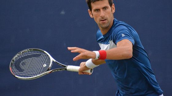 Pelotazo de Novak Djokovic a una juez lo dejó descalificado del US Open