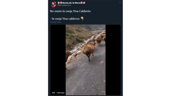 Meme de la nueva cirugía de Yina Calderón. Meme de la nueva cirugía de Yina Calderón.