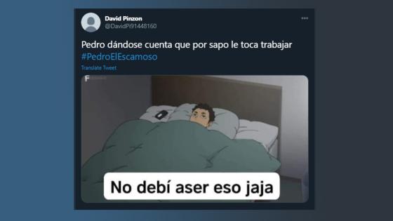 Meme del regreso de Pedro, el escamoso.