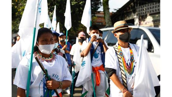 Marcha de peregrinación por la vida y la paz