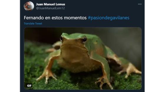 Meme de la reaparición de Dínora Rosales en Pasión de Gavilanes.