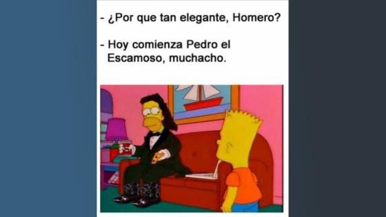 Meme del regreso de Pedro, el escamoso. Meme del regreso de Pedro, el escamoso.