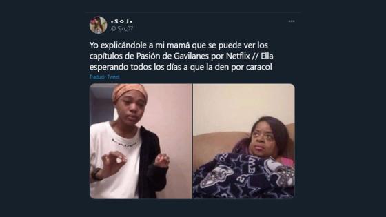 Meme de la salida de Pasión de Gavilanes de Netflix. Meme de la salida de Pasión de Gavilanes de Netflix.