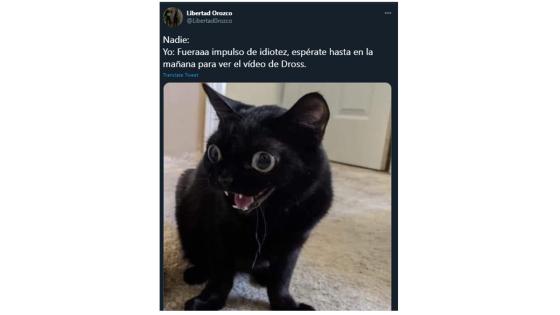 Meme del video de Dross. Meme del video de Dross.