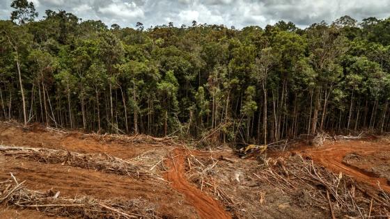 Colombia no ahorra y agota cada vez más rápido sus recursos naturales Colombia no ahorra y agota cada vez más rápido sus recursos naturales