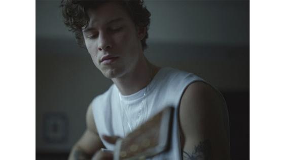 SHAWN MENDES: IN WONDER SHAWN MENDES: IN WONDER