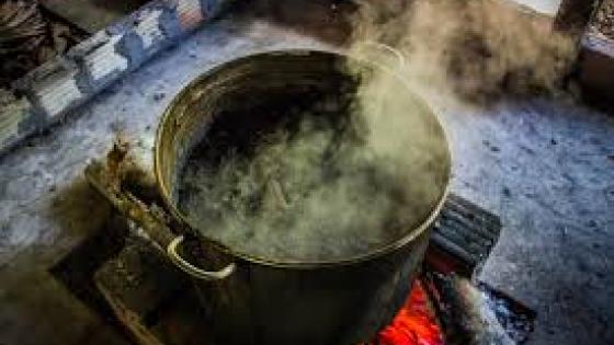 La ayahuasca podría ayudar a crear nuevas células cerebrales, pero ¿qué tan viable sería recibir ese tratamiento a largo plazo? La ayahuasca podría ayudar a crear nuevas células cerebrales, pero ¿qué tan viable sería recibir ese tratamiento a largo plazo?
